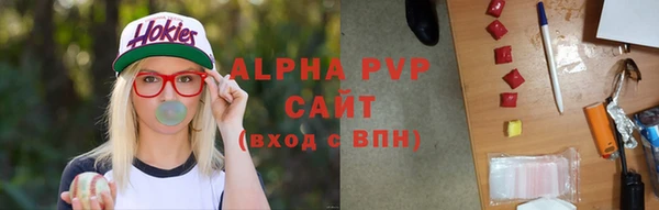 винт Дмитров