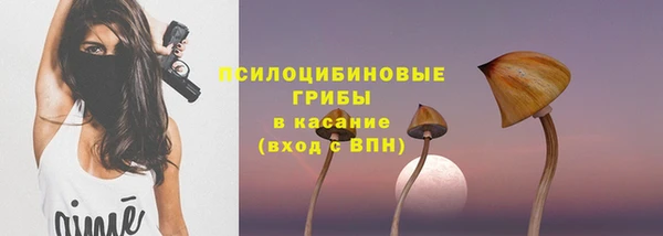 винт Дмитров