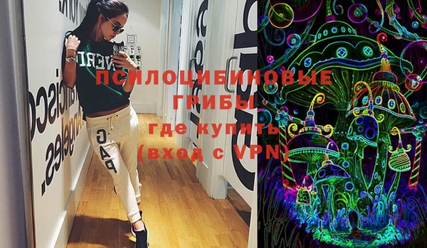 спиды Гусь-Хрустальный