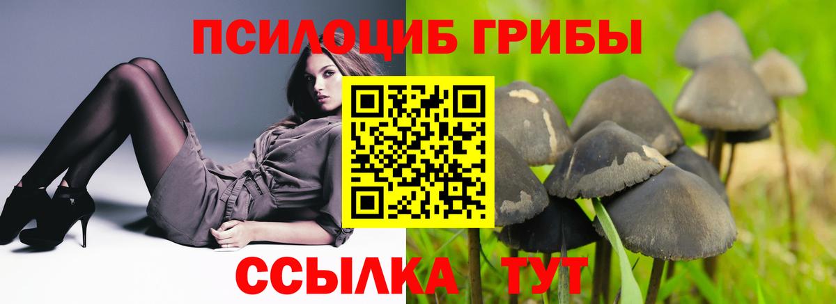Галлюциногенные грибы Magic Shrooms  Вход с VPN  Псилоцибиновые грибы мицелий  Елизово 