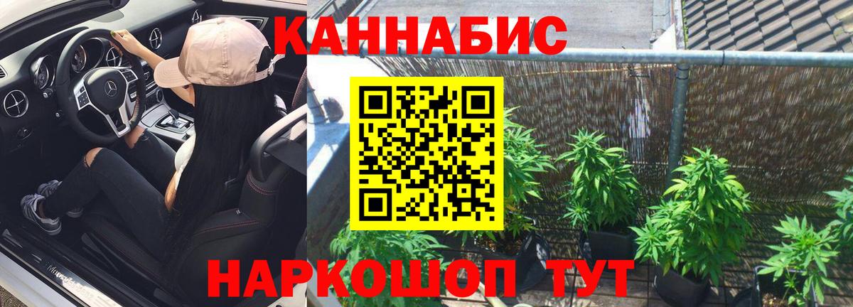 Конопля Ganja Елизово